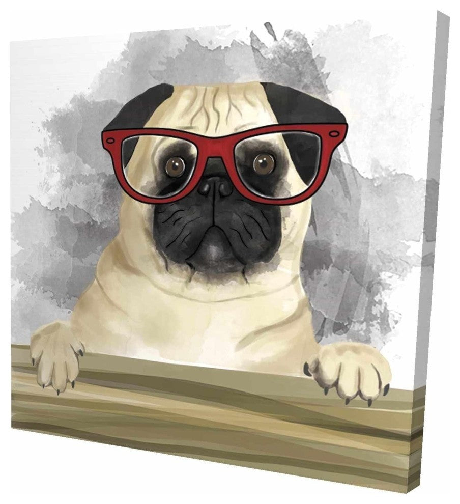Pug With Glasses, Fine Art Gallery Wrapped Canvas, 24"x24"