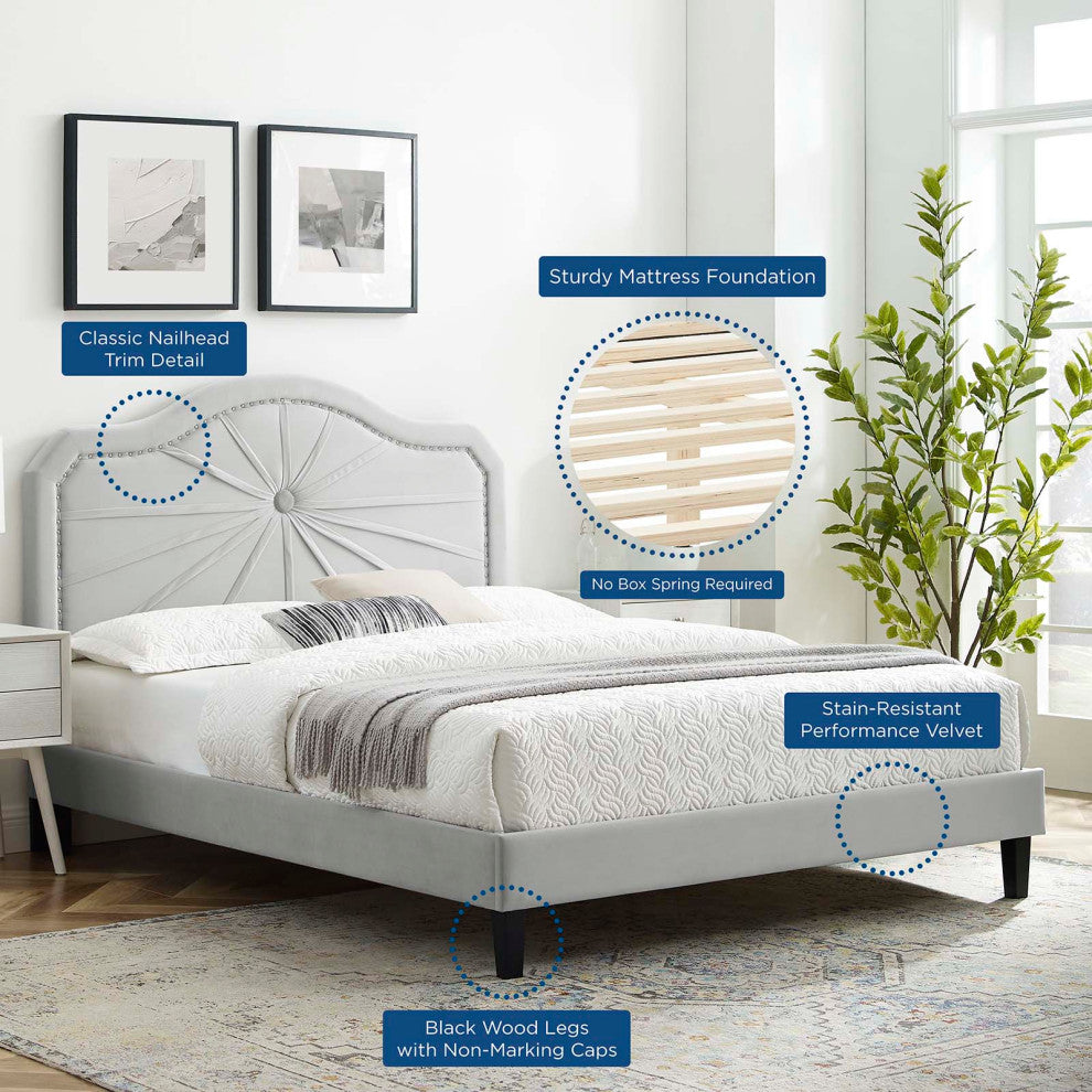 Platform Bed Frame, King Size, Velvet, Light Gray, Modern Contemporary