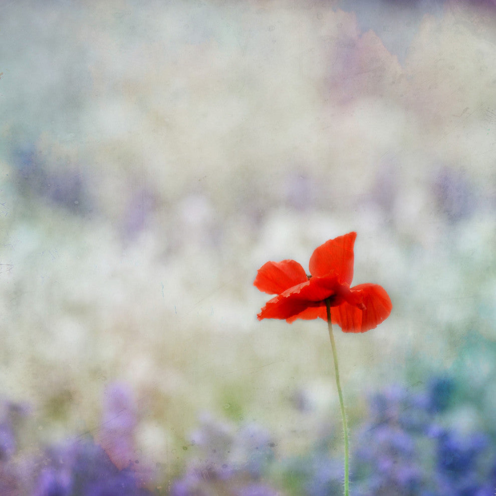 "Dream on 2" Painting Print on Wrapped Canvas