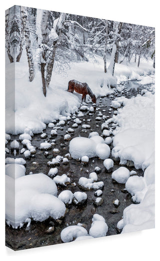 Hua Zhu 'Drinking In Snow' Canvas Art, 24"x18"