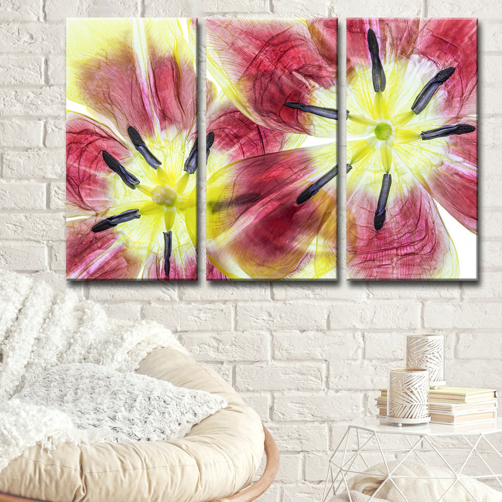 Ready2HangArt 'Tulips' 3-Piece Canvas Wall Decor Set, 60"x40"