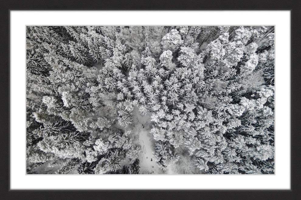 "Frozen Friends" Framed Print by Karolis Janulis