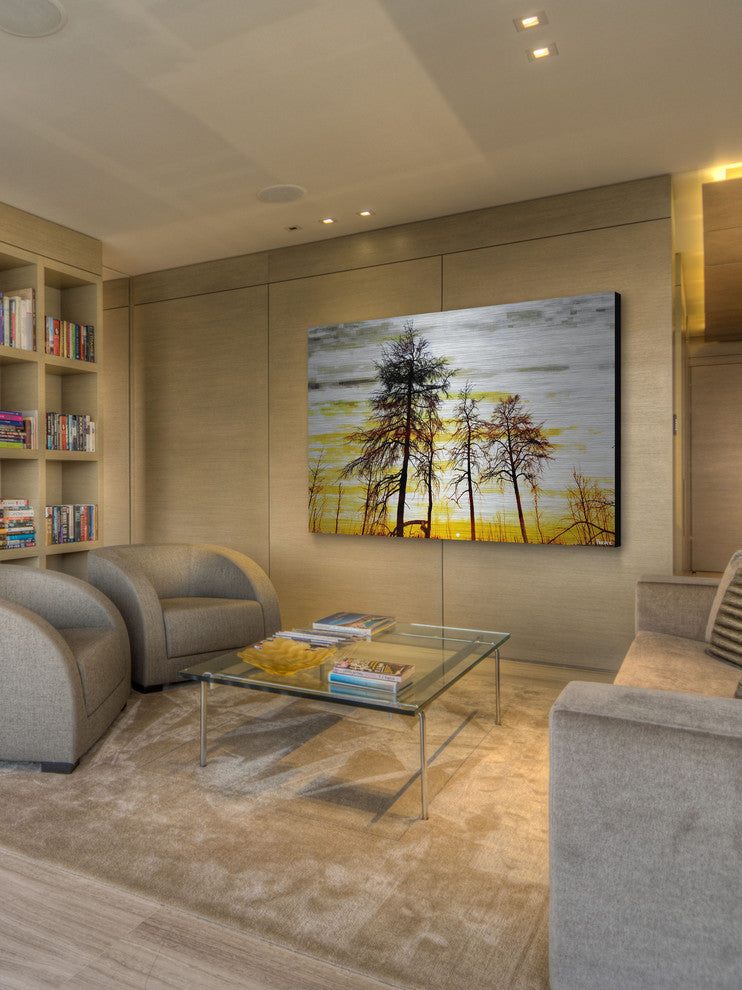 "Trees Against Gold Sky" Print on Brushed Aluminum, 36"x24"