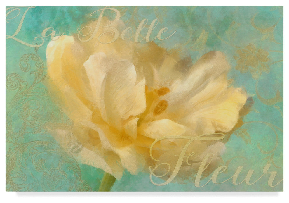 "La Belle Fleur I" by Cora Niele, Canvas Art, 16"x24"