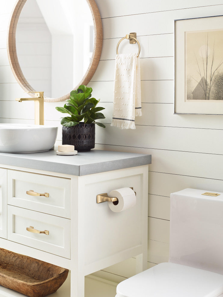 Amerock Highland Ridge Transitional Pivoting Double Post Toilet Paper Holder, Ch