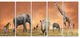 Savannah Wildlife Panorama, African Canvas Art Print, 60"x28", 5 Panels