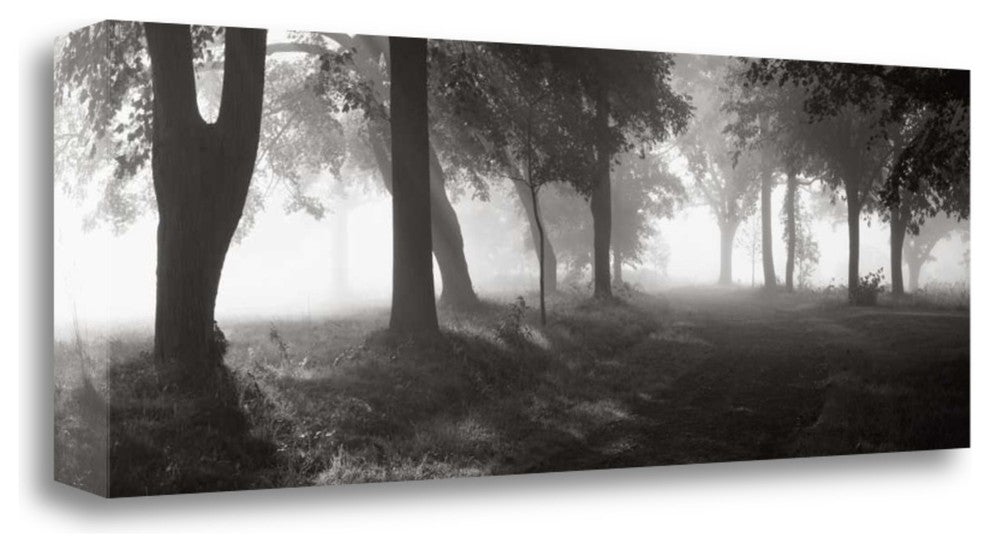 "Translucence" By Mike Sleeper,Ready to Hang Giclee Print on Gallery Wrap Canvas