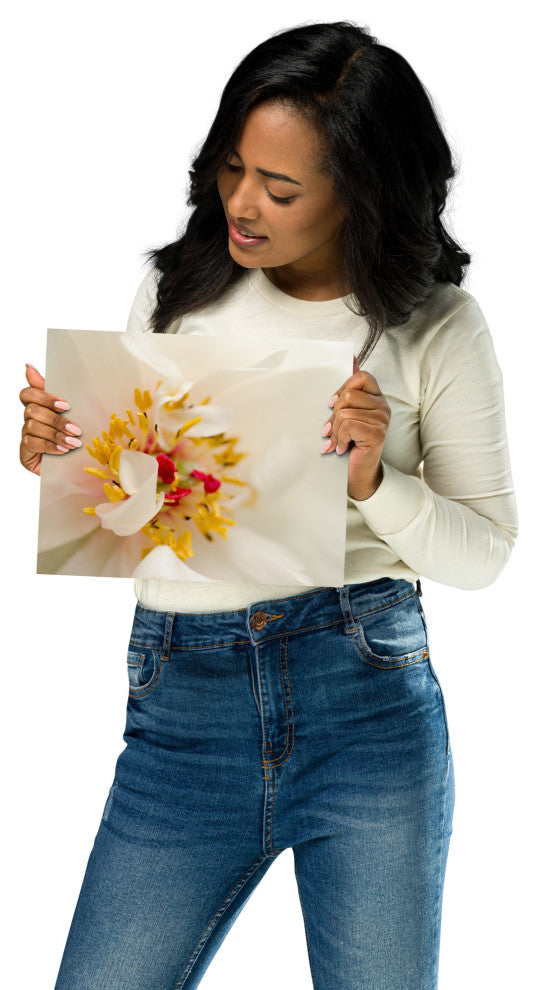 Eye of Peony Nature Photography, Floral Unframed Wall Art Print, 8" X 10"