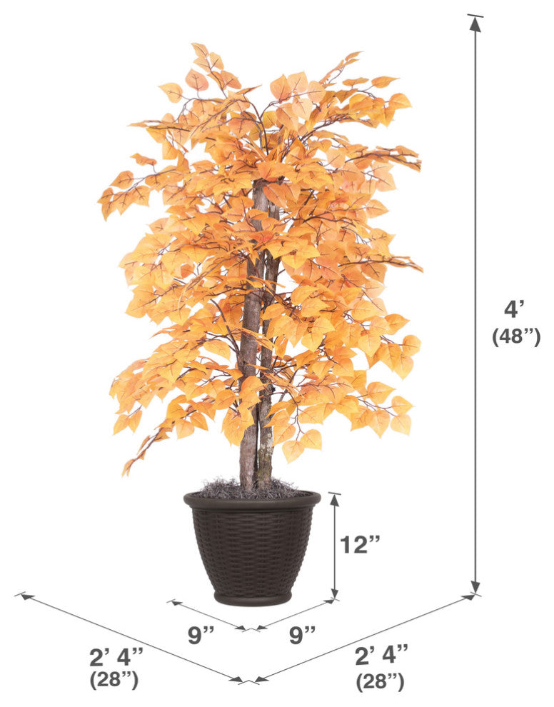 Contains measurement lines and arrows; functions as a schematic/diagram (instructional).