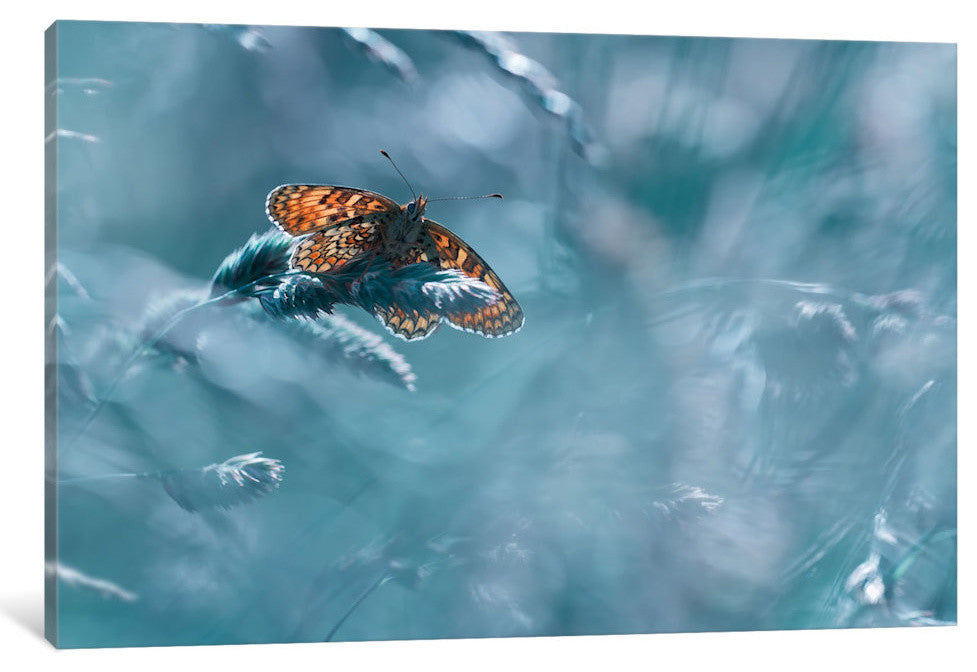 "Total Kheops" by Fabien Bravin, 40x26x1.5