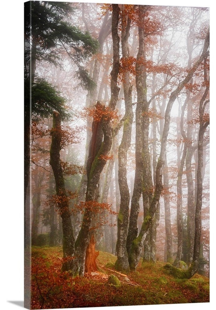 "Let's Get Lost" Wrapped Canvas Art Print, 24"x36"x1.5"
