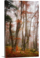 "Let's Get Lost" Wrapped Canvas Art Print, 24"x36"x1.5"
