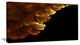 Abstract Yellow Flower on Black, Extra Large Floral Wall Art, 32"x16"