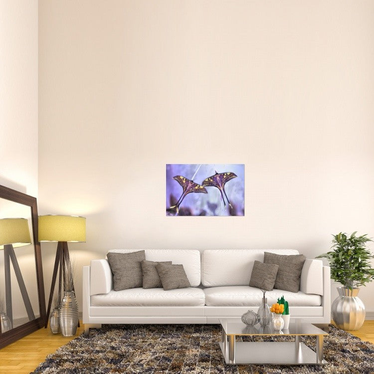 "Actias" Stretched Canvas Giclee by Jimmy Hoffman, 36x24"