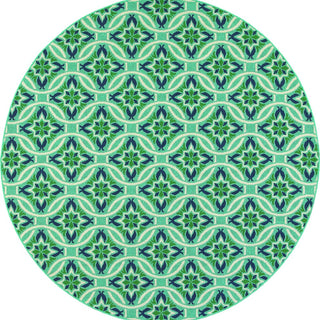 Oriental Weavers Meridian Blue/Green Floral Indoor/Outdoor Rug 7'10"X10'10"