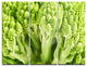 "Fresh Green Romanesco Florets" Photo Metal Wall Art, 3 Panels, 36"x28"