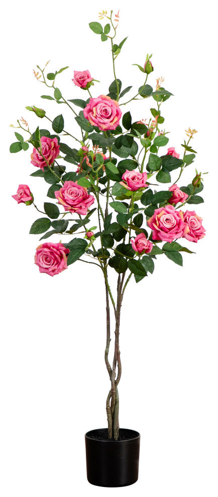 Lifestyle photo showing the full plant in a room.