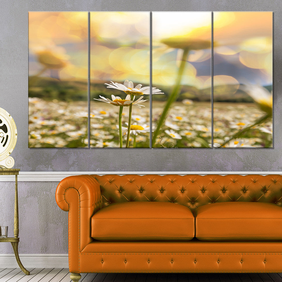 Amazing Chamomile Flower Field, Floral Canvas Art Print, 48"x28", 4 Panels