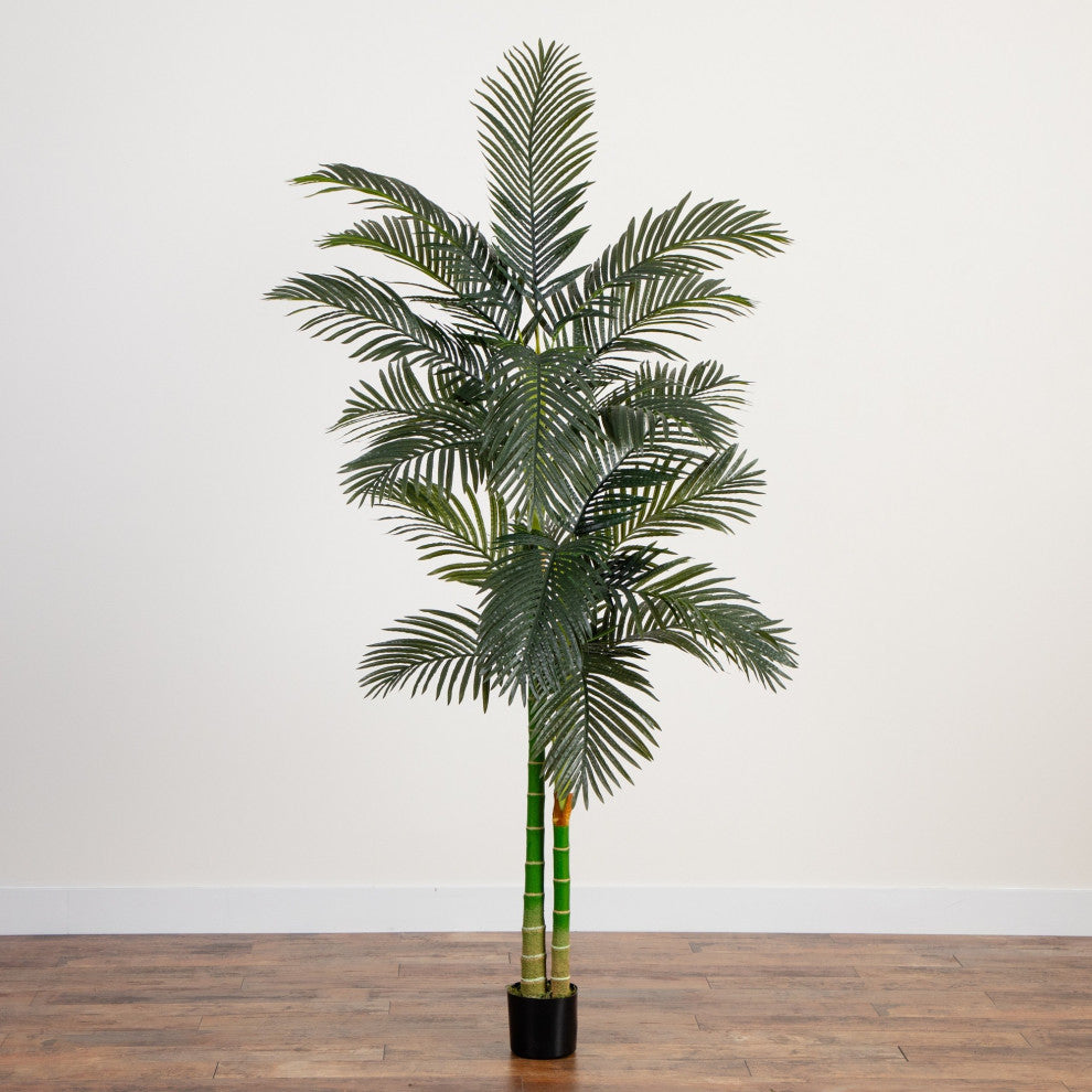 8' Golden Cane Palm Silk Tree