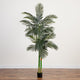 8' Golden Cane Palm Silk Tree