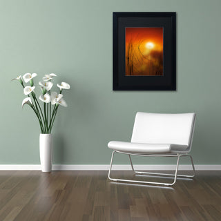 'Nature Time Machine' Matted Framed Canvas Art by Philippe Sainte-Laudy
