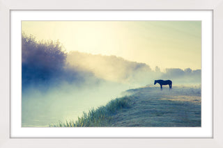 "Horse in the Fog" Framed Art Print
