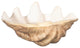 Cast Clam Shell Bowl, Faux Finish, 16x11x7"h