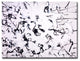 Black and White' Abstract Canvas Wall Art, 16"x20