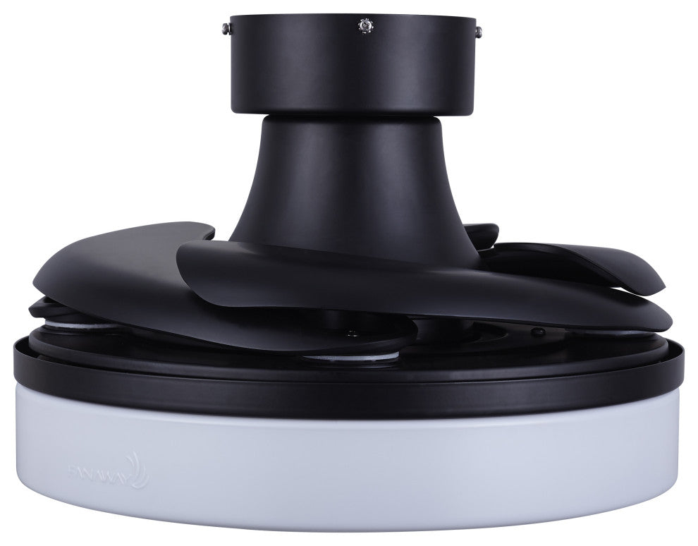 Fanaway Orbit 36" Ceiling Fan With Light, Matte Black
