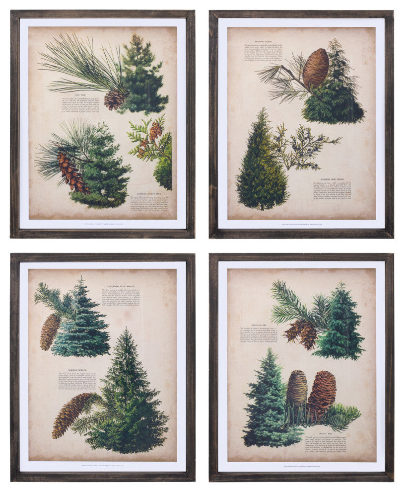 Framed Pine Print, 4-Piece Set