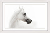 "White Beauty" Framed Paper Print, 45x40 cm