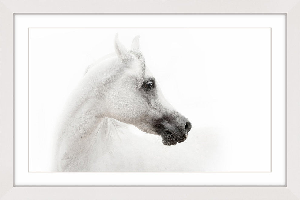 "White Beauty" Framed Paper Print, 45x40 cm