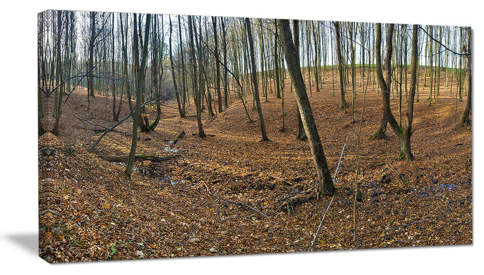 Woods in Fall Forest Panorama, Forest Canvas Art Print, 32"x16"