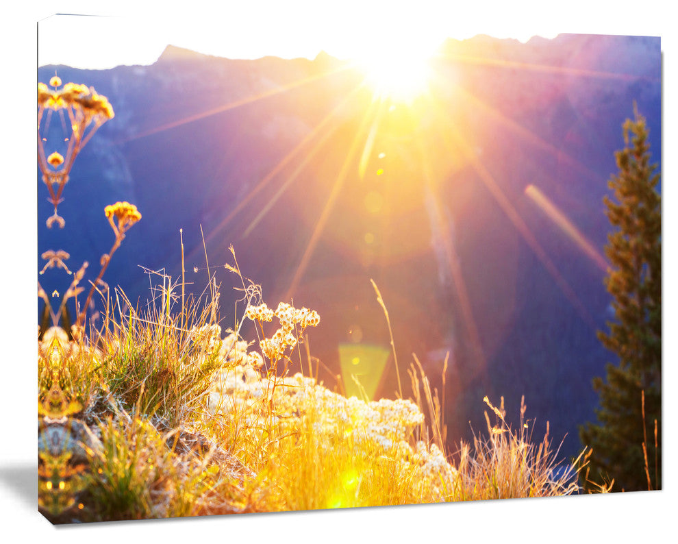 Rural Meadow Flowers At Sunset, Landscape Canvas Art Print, 60"x28"
