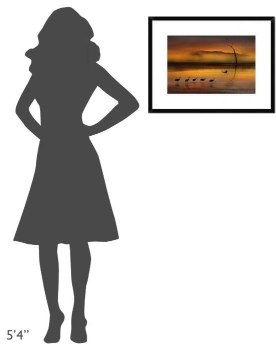 "We Are Here Waiting For You" Framed Digital Print by Shenshen Dou, 26"x20"