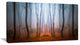 "Dense Foggy Autumn Forest" Landscape Canvas Photo Print, 1 Panel, 60"x28"