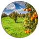 Bright Green Grass In Orange Garden, Landscape Art Round Wall Art, 11"