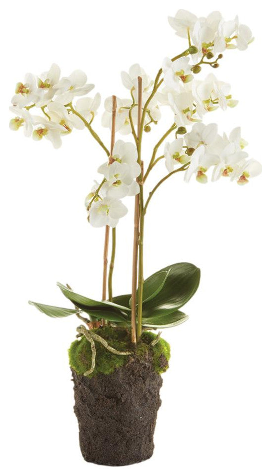 Luxe 20 in Tiny White Phalaenopsis Orchid Faux Flower Artificial Plant Drop In