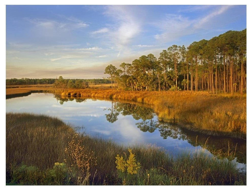 "Lake near Apalachicola, Florida" Digital Paper Print by Tim Fitzharris, 50"x38"