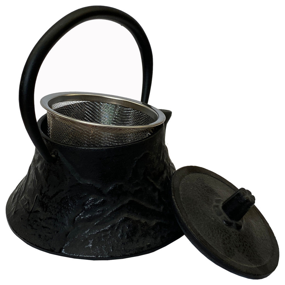 Handmade Quality Asian Cast Iron Teapot Shape Display Art Hws2372