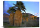 "Real Fan Palm Anza-Borrego Desert, California" Artwork, 24" x 18"