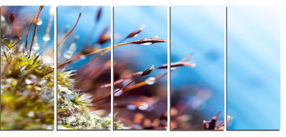 "Abstract Moss Flowers in Summer Spring" Landscape Wall Art, 5 Panels, 60"x28"