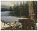 "Northwoods Bear Crop" Digital Paper Print by David Carter Brown, 30"x24"