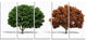 Green and Red 3D Fractal Trees, Abstract Wall Art Canvas, 60"x28", 5 Panels
