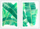 La Habana Diptych, 32x24
