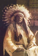 Thunderbird - Cheyenne Chief- Canvas Poster 20" x 30"