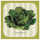 "Linen Vegetable II" Digital Paper Print by Studio Mousseau, 32"x32"