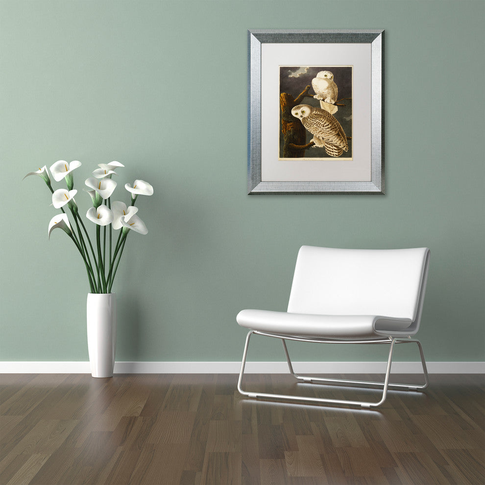 'Snowy Owl' Silver Framed Canvas Art by John James Audubon