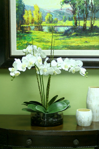 WaterlookÂ® Cream White Phaleanopsis Orchids with Foliage