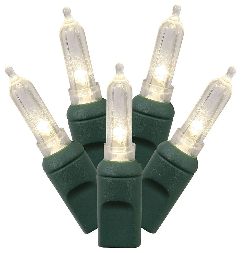 Vickerman X6G7501Pbg 50 Warm White Italian Led, 25' Christmas Light Strand